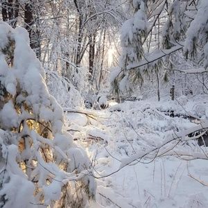 Meet your Posher, Frances